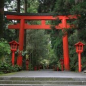 Những chiếc cổng Torii ở Nhật Bản